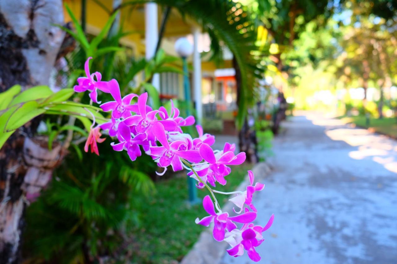 New Travel Beach Hotel & Resort Chao Lao-stranda Eksteriør bilde